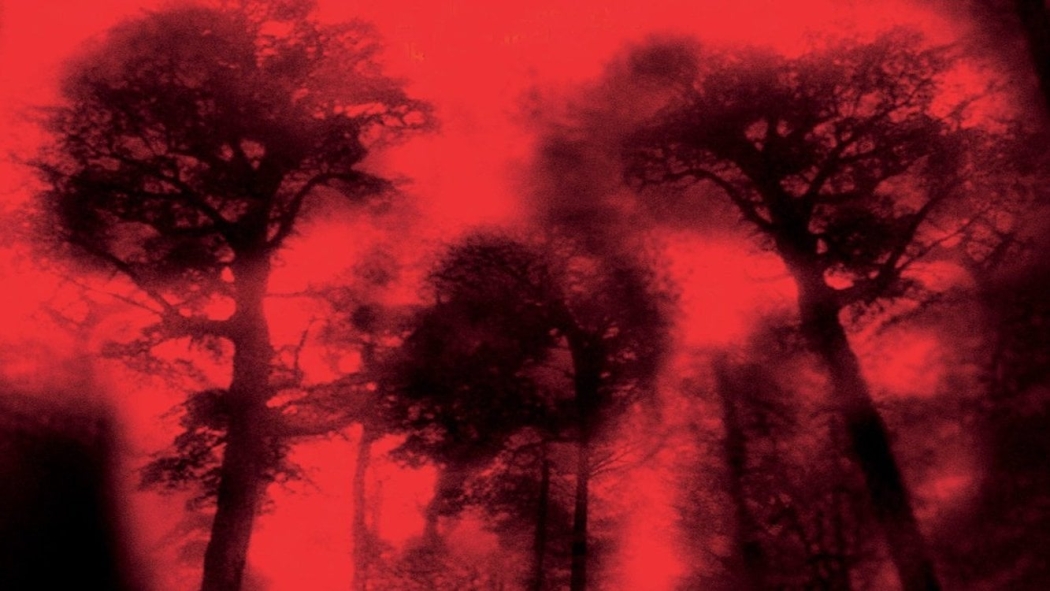 Dehşetin Gözleri izle