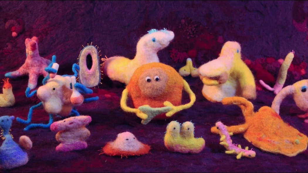 Hack Your Health: The Secrets of Your Gut izle