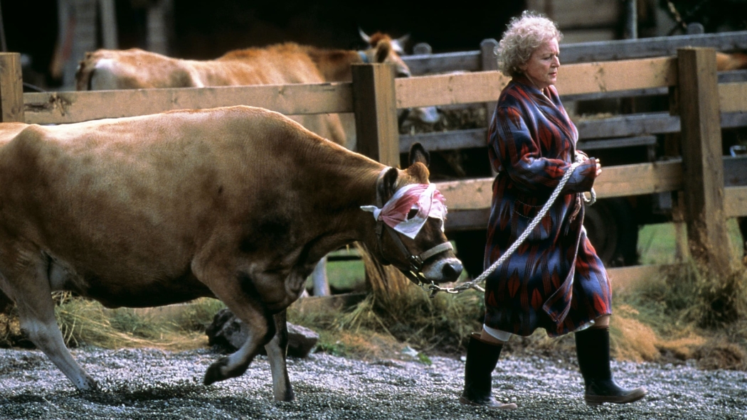 Kara Göl (1999) izle