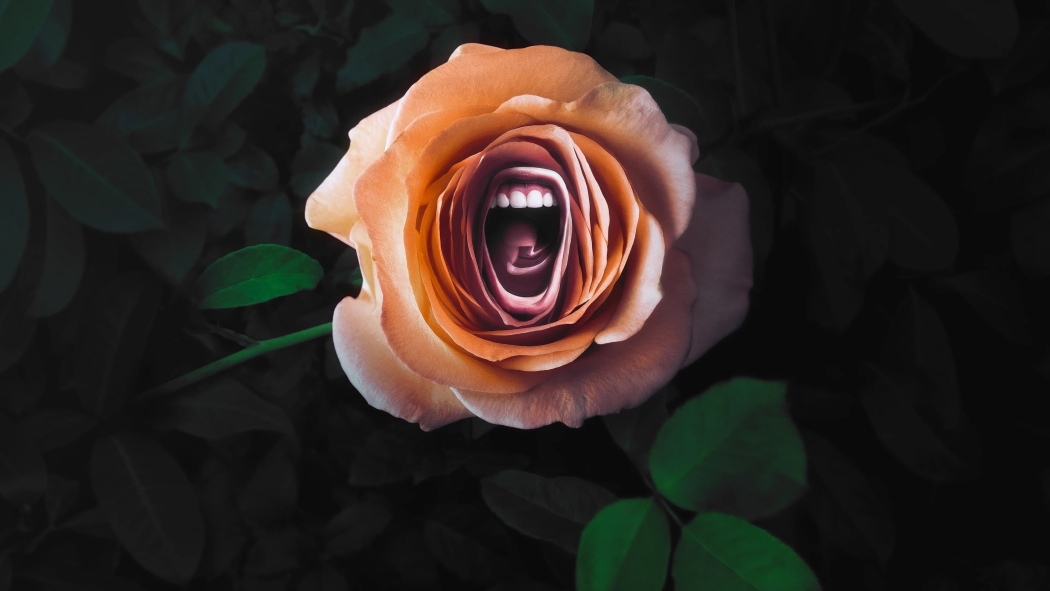 Roar 1. Sezon 5. Bölüm izle
