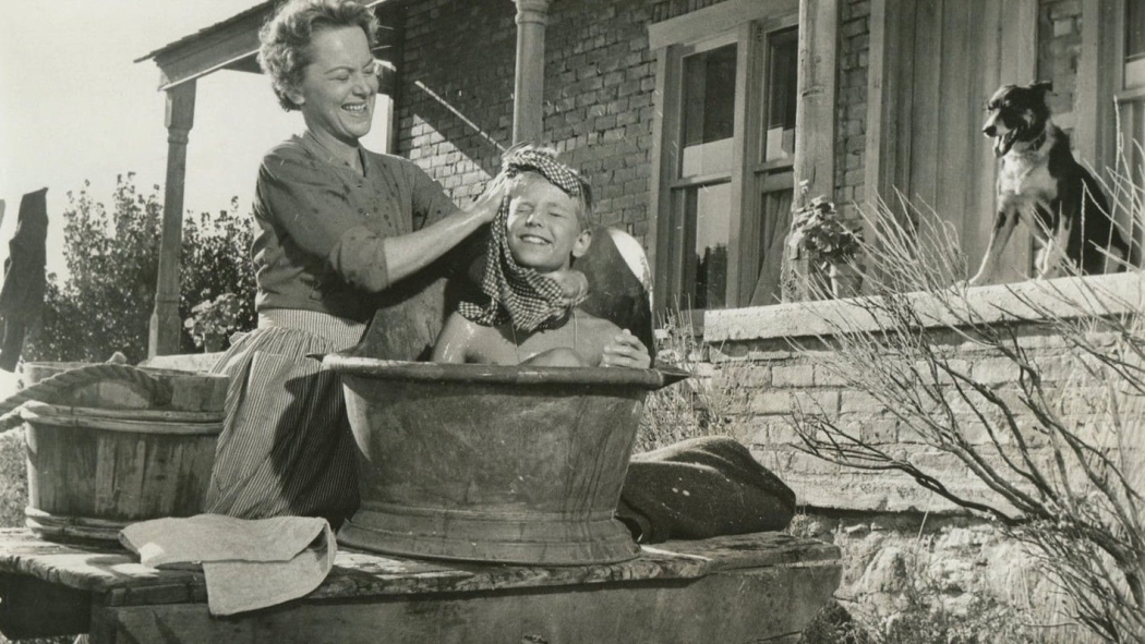 Vadiler Aslanı (1958) izle